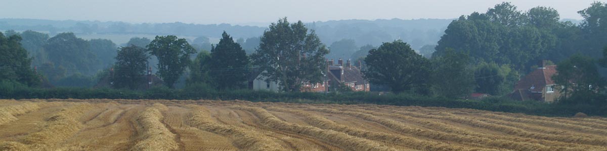 Image of newly harvested fields
