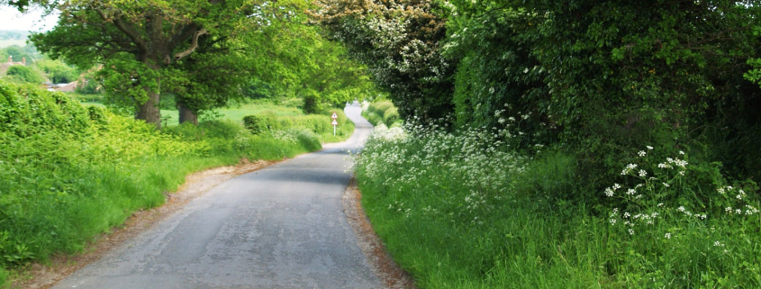 Image of a road with green grass and trees on both sides